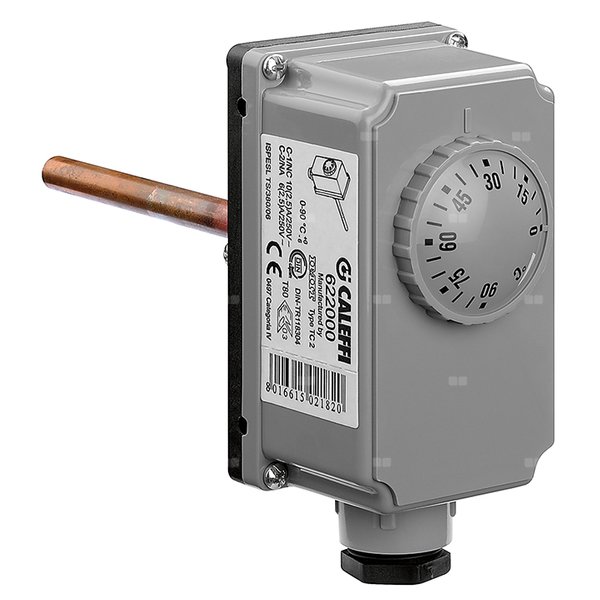 Termostat z sondą zanurzeniową 1/2"