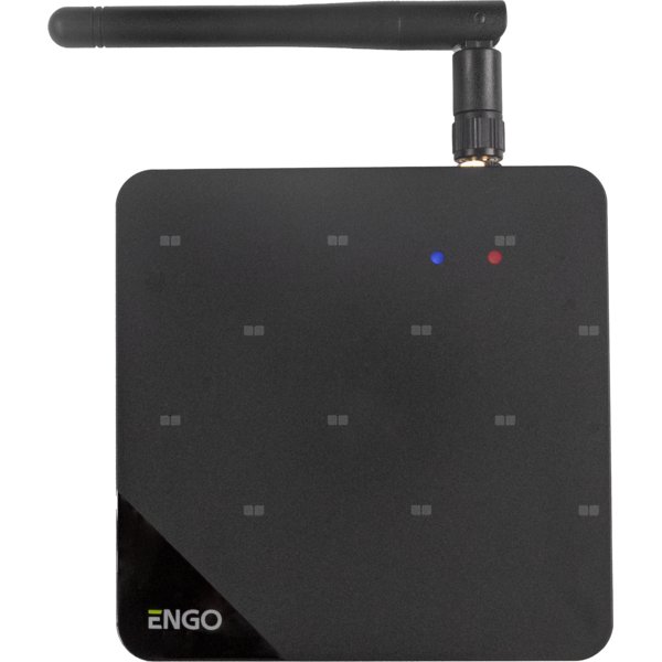 Bramka internetowa ZigBee, wersja PRO do urządzeń serii ENGO Smart