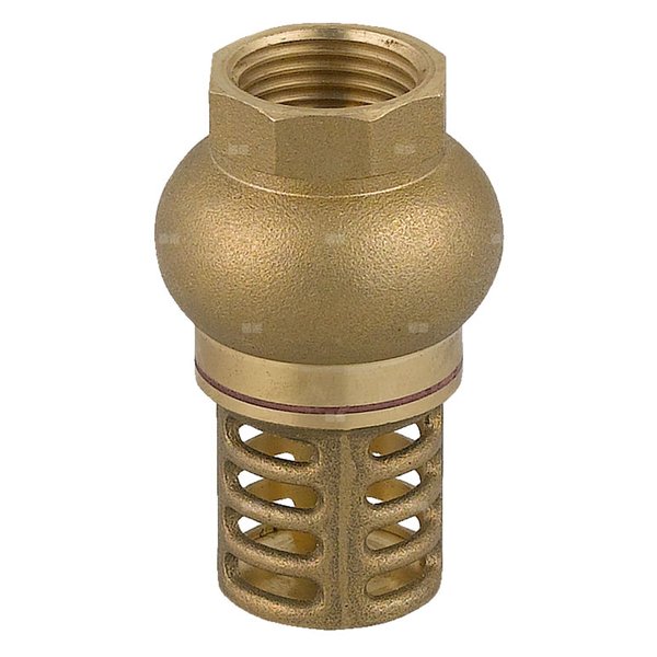 Zawór zwrotny FERRO z mosiężnym koszem ssącym 6/4'' GW PN 10 max. 100'C
