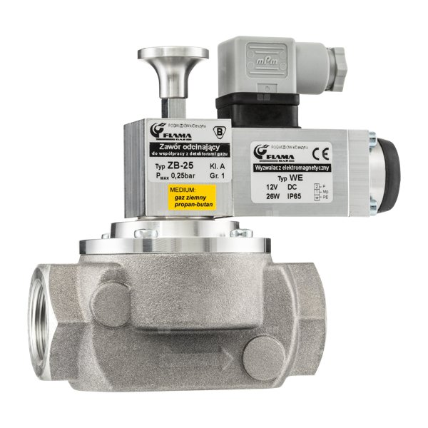 Zawór grzybkowy, kołnierzowy DN65, cewka 12V