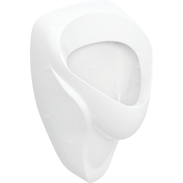 Geberit Alex Pisuar, B38cm, H64.5cm, T35cm, dopływ z tyłu, odpływ do tyłu