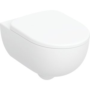 Zestaw wiszącej miski WC Geberit Selnova, Premium, lejowa, ukryte mocowania, Rimfree, z deską sedesową: T=53cm, Biały