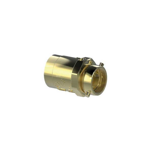 P.POŻ. ADAPTER Z KLAPĄ ZWROTNĄ I GWINTEM WEWNĘTRZNYM DO ROZDZIELACZY P.POŻ. ZACZEP TYPU "PIN LUG", CHROM POLER. 3" NPT GW x 2 1/2'' NST GW