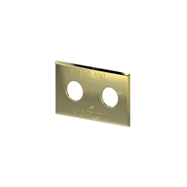 P.POŻ. PANEL PRZEDNI PRZYŁĄCZY POŻAROWYCH A101-A102 OZNAKOWANIE AUTO-SPKR STANDPIPE, CHROM POLER. 230 x 382 mm
