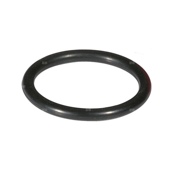 O-RING do wkładu filtracyjnego dla F76S-F, DN100, DN125