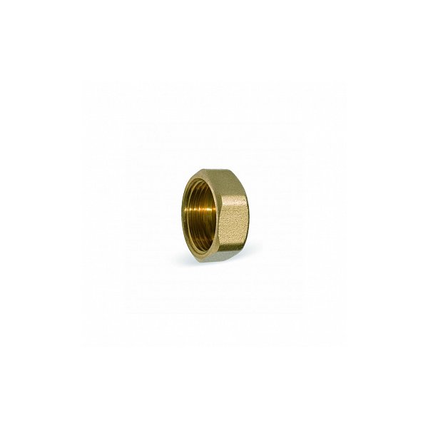 Zaślepka mosiądz WATTS 1'' GW